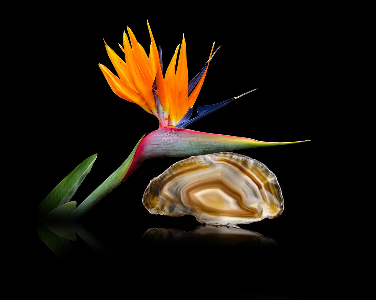 Karneol 5010340